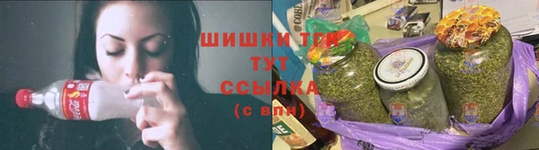 соль ск Заводоуковск